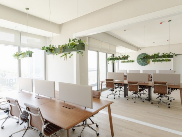 kolektif house kiralik ofis hazir ofis